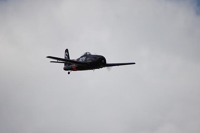 IMG 9895