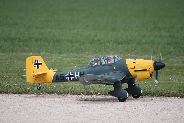 IMG 9906