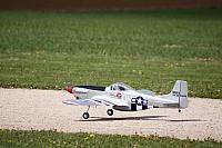 IMG 9924