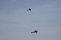 IMG 0847