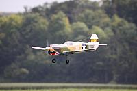 IMG 0878